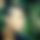 BandLab banner for @sabin09