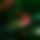 BandLab banner for @dialect