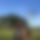 BandLab banner for @prodygys