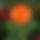 BandLab banner for @louse