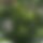 BandLab banner for @thida