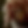 BandLab banner for @whilst