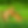 BandLab banner for @judging