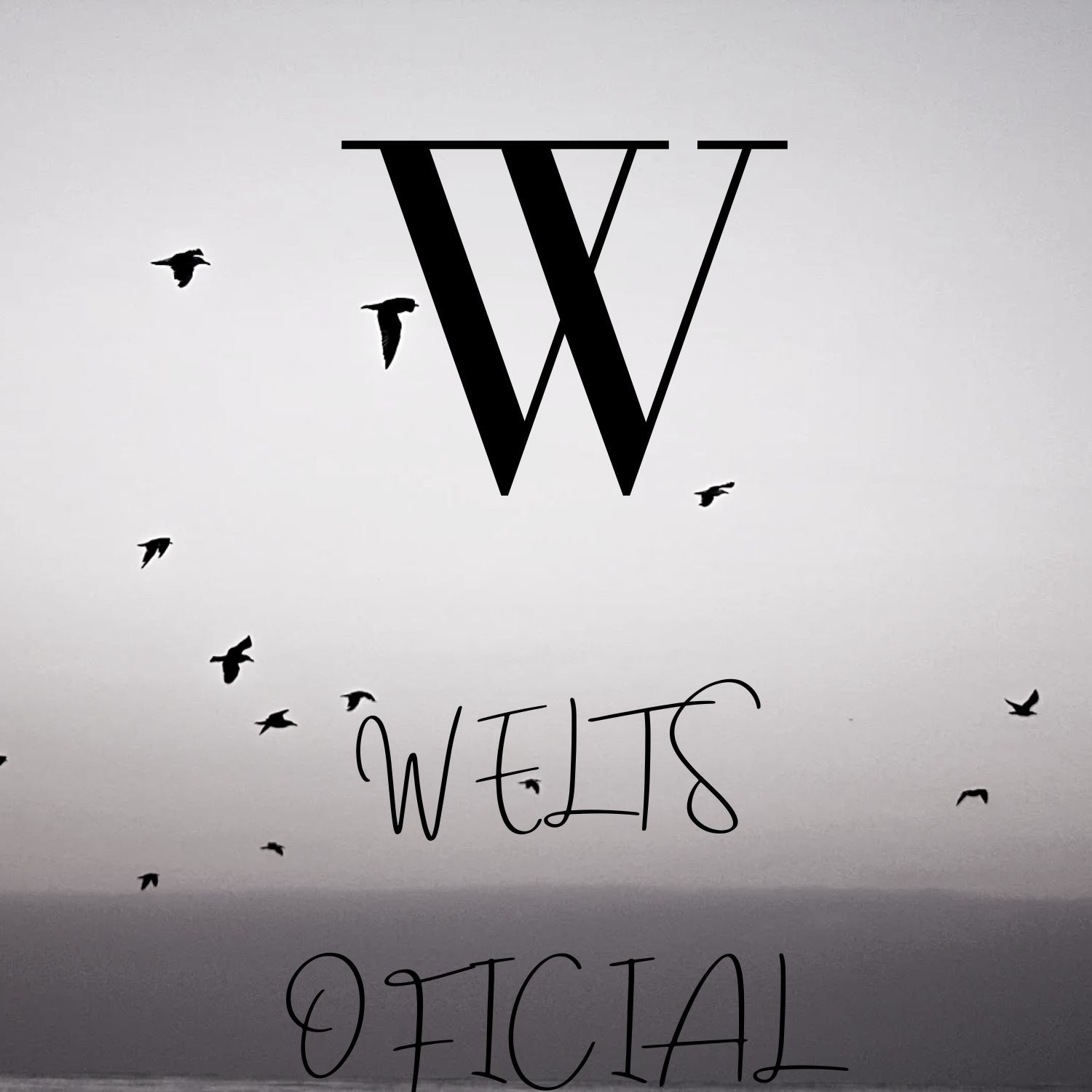 BandLab profile picture for @welts