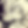 BandLab banner for @salemz