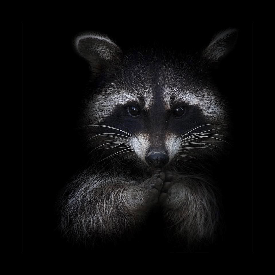 BandLab profile picture for @closer