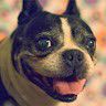 BandLab profile picture for @container