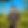 BandLab banner for @likhon11