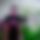BandLab banner for @ageless
