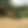 BandLab banner for @shaikh