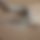 BandLab banner for @whacked