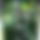 BandLab banner for @r554