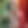BandLab banner for @miguelle