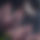 BandLab banner for @frigging