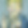 BandLab banner for @foreskin