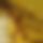 BandLab banner for @sewage
