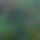 BandLab banner for @urns