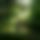 BandLab banner for @emirhan