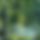 BandLab banner for @archived