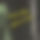 BandLab banner for @zakeee