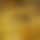 BandLab banner for @capacity