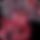 BandLab banner for @rezok