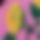 BandLab banner for @thesaurus