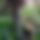 BandLab banner for @user1