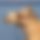 BandLab banner for @camel