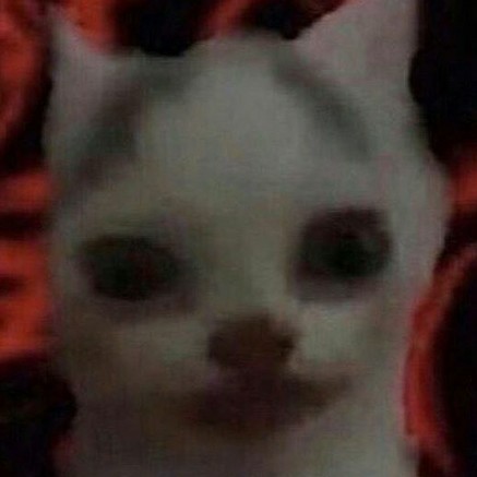 BandLab profile picture for @n6than