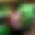 BandLab banner for @slices