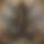 BandLab banner for @counterpart