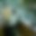 BandLab banner for @shikdar
