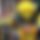BandLab banner for @pyromaniac
