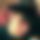 BandLab banner for @switches