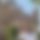 BandLab banner for @mkhaled