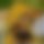 BandLab banner for @mocked