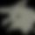BandLab banner for @reapers