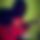 BandLab banner for @osman