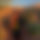 BandLab banner for @tquizy