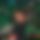 BandLab banner for @validity