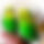 BandLab banner for @parrots