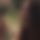 BandLab banner for @untoward