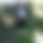 BandLab banner for @lurch