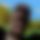 BandLab banner for @pedrominn