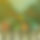 BandLab banner for @crashers