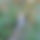 BandLab banner for @samirdz