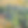 BandLab banner for @wampum