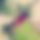 BandLab banner for @daewoo