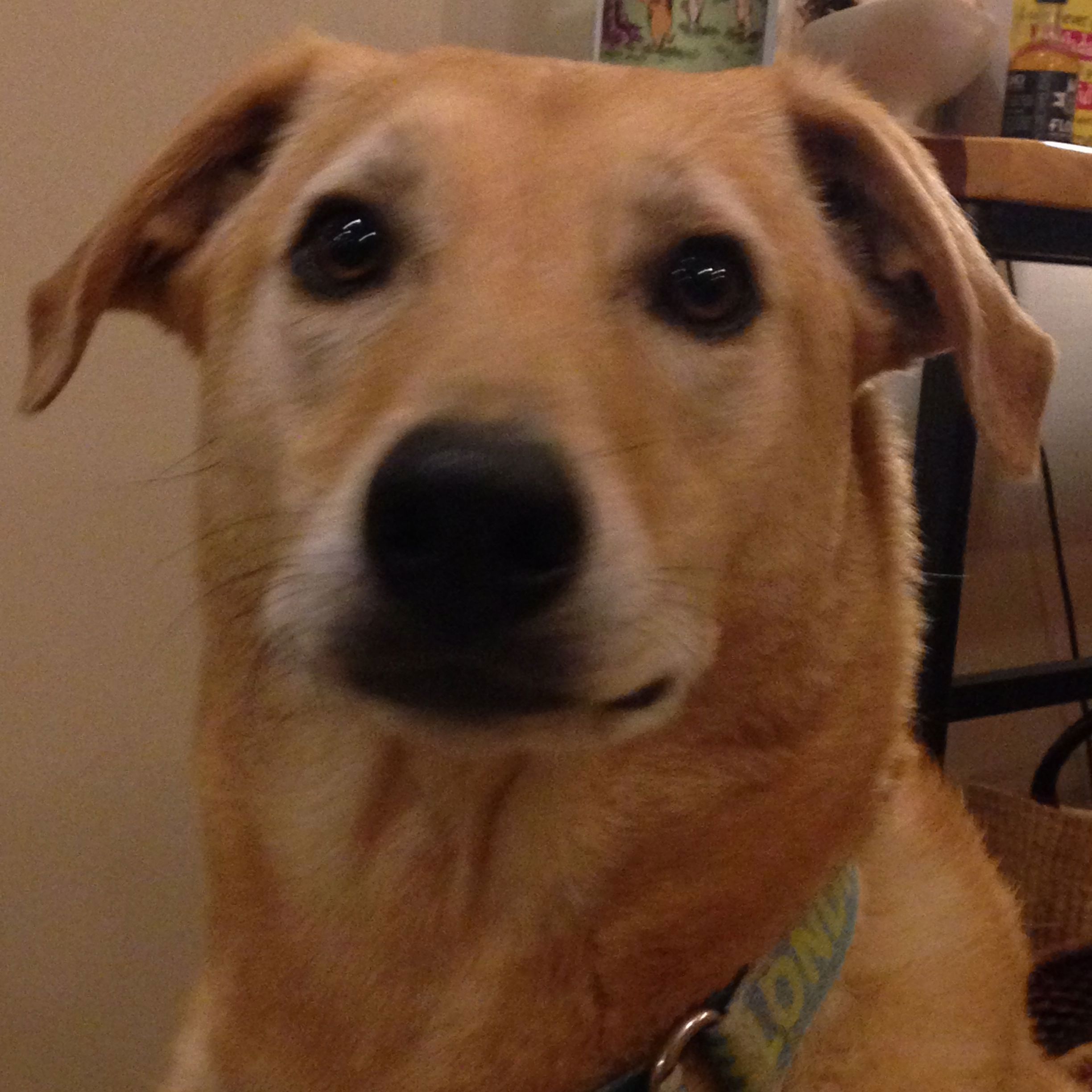 BandLab profile picture for @nodding